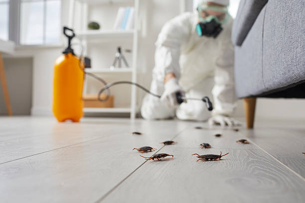 Commercial Kitchen Cockroach Control in Owingsville
